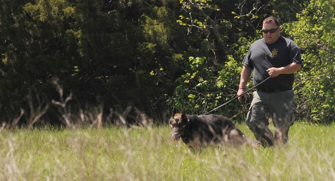 Jackson County Police Department deputy Brad Norton and K-9 Bdar, perform a scout for a “bad guy” that has taken off on foot into the woods at Whiteman Air Force Base, Mo., April 30, 2015. Several local police departments trained with the 509th Security Forces Squadron military working dog section on several tactics such as off-leash training and apprehending suspects. (U.S. Air Force photo by Staff Sgt. Alexandra M. Longfellow/Released)