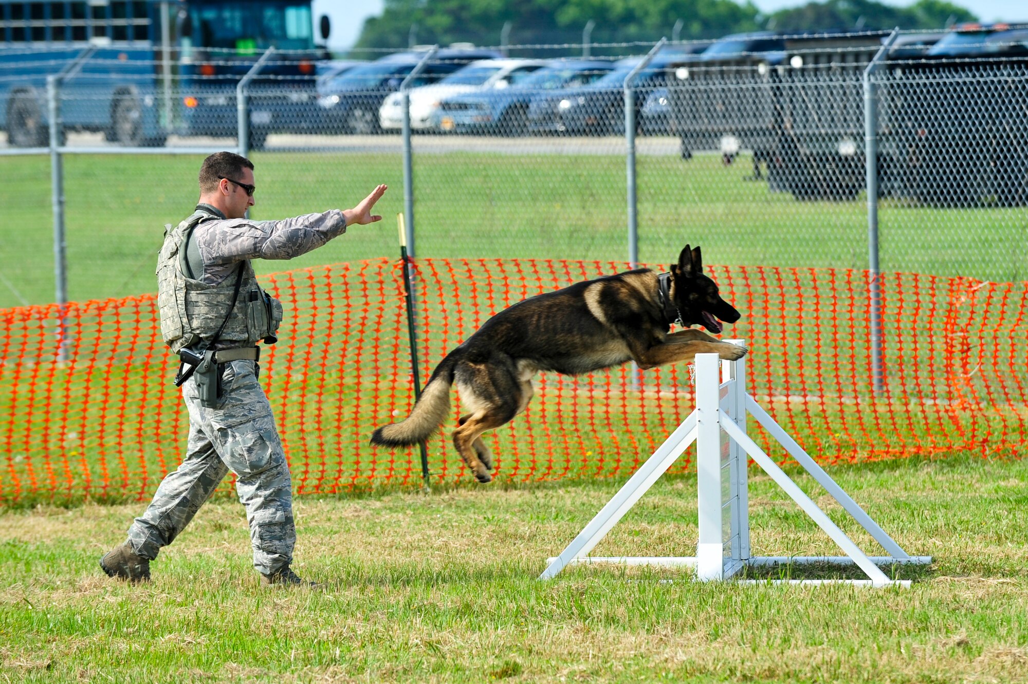 Staff Sgt. Barton Gonzales, 4th Security Forces Squadron military working dog handler, and Tonic, 4th SFS MWD, perform a demonstration as part of the 2015 Wings Over Wayne Airshow and Open House, May 17, 2015, at Seymour Johnson Air Force Base, North Carolina. The MWD demonstrations were one of several featured in addition to the aerial acts and concert performances. (U.S. Air Force photo/Airman Shawna L. Keyes)