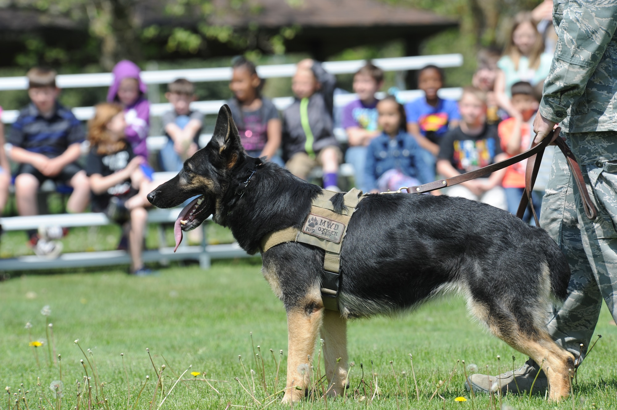 Children from Michael Anderson Elementary School watch as a 92nd Security Forces Squadron Military Working Dog, Oxi, demonstrates his abilities May 11, 2015, at Fairchild Air Force Base, Wash. The children spent the afternoon at the law enforcement expo that consisted of police vehicles, trying on police equipment and speaking with law enforcement officials about their jobs and duties. (U.S. Air Force photo/Airman 1st Class Nicolo J. Daniello)