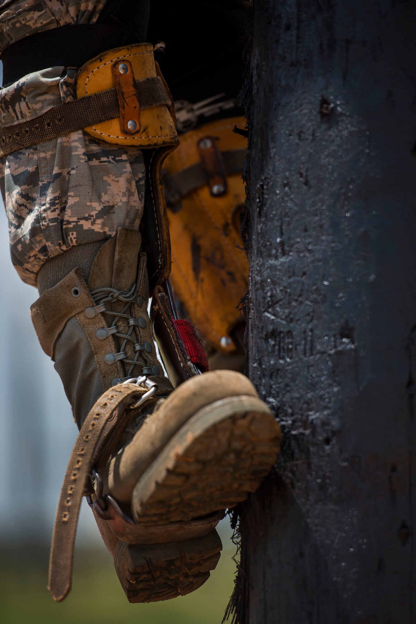 A U.S. Air Force Airman from the 366th Training Squadron, uses climbing spikes to climb a utility pole as part of an electronic systems apprentice training course at Sheppard Air Force Base, Texas, May 18, 2015. In addition to using spikes, students also train while wearing a climbing harness and straps. (U.S. Air Force photo by Senior Airman Kyle Gese/Released)