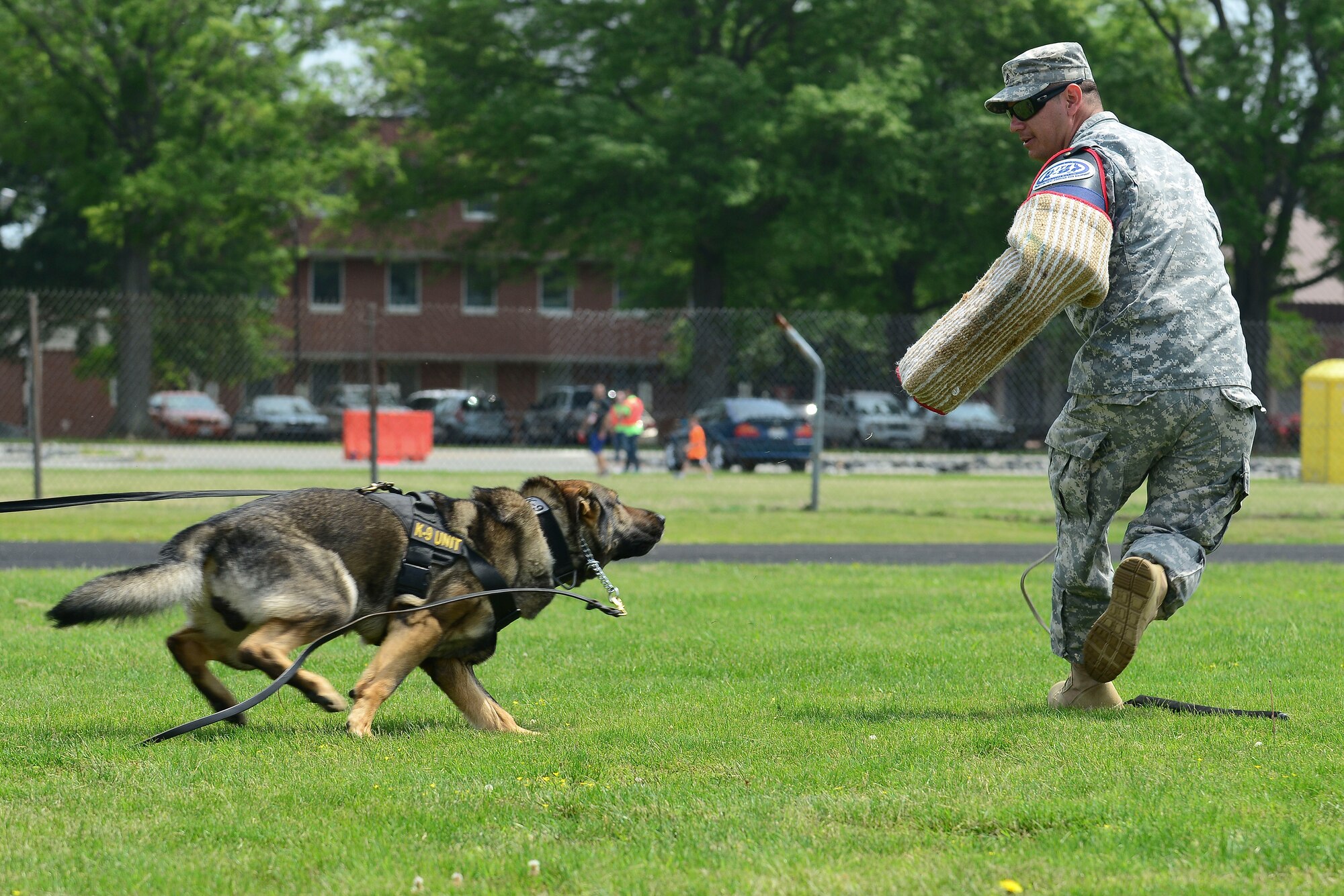 U.S. Army Staff Sgt. Hector Reyes, 3rd Military Police Detachment military working dog handler, and Sarik, Fort Eustis MWD, participate in a demonstration during a 50th Vietnam War Commemoration at Fort Eustis, Va., May 16, 2015. Reyes played a “bad guy” to show how the MWDs take an assailant down. (U.S. Air Force photo by Senior Airman Kimberly Nagle/Released)  