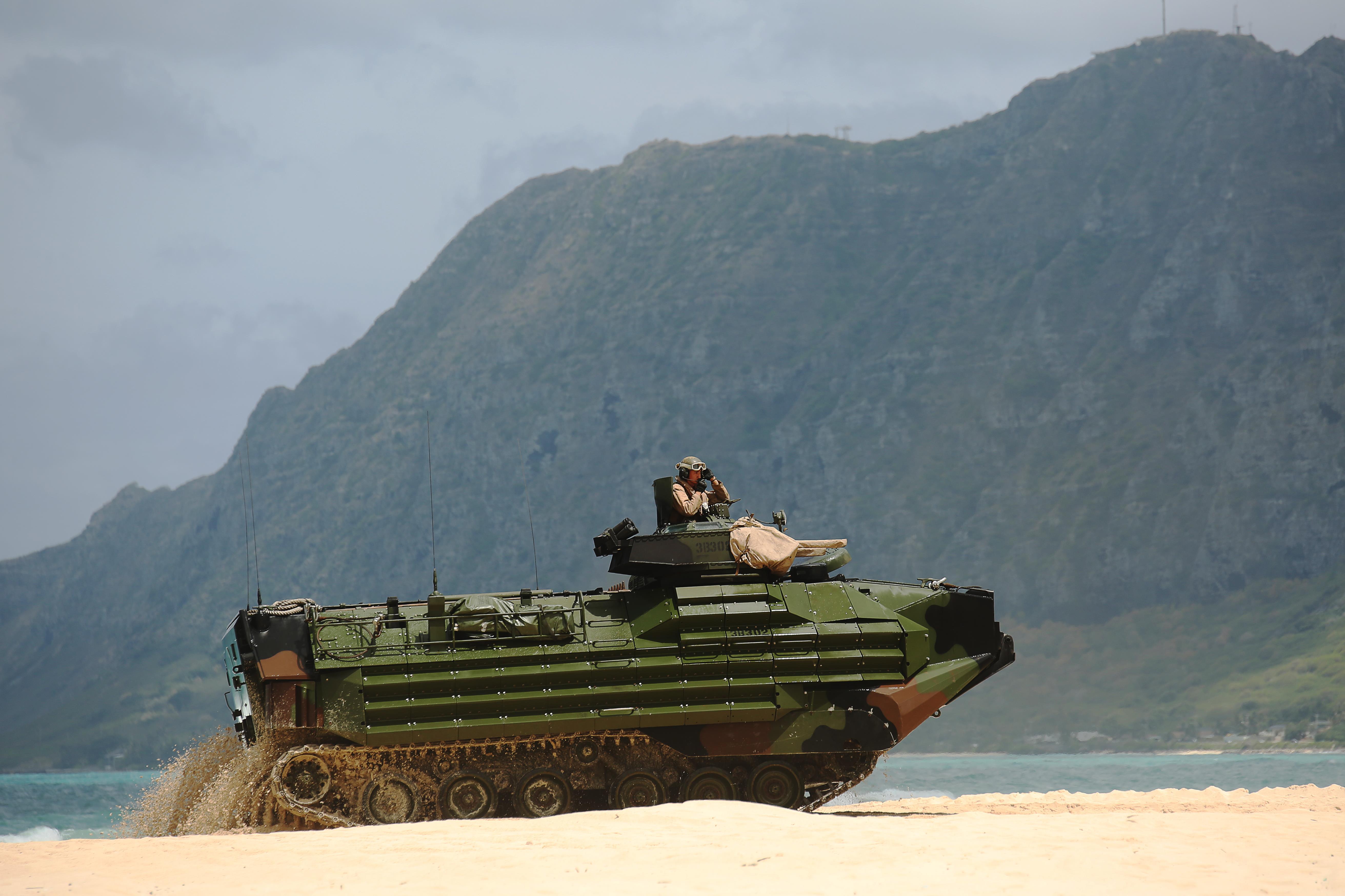 Foreign military leaders observe U.S. Marine Corps amphibious landing