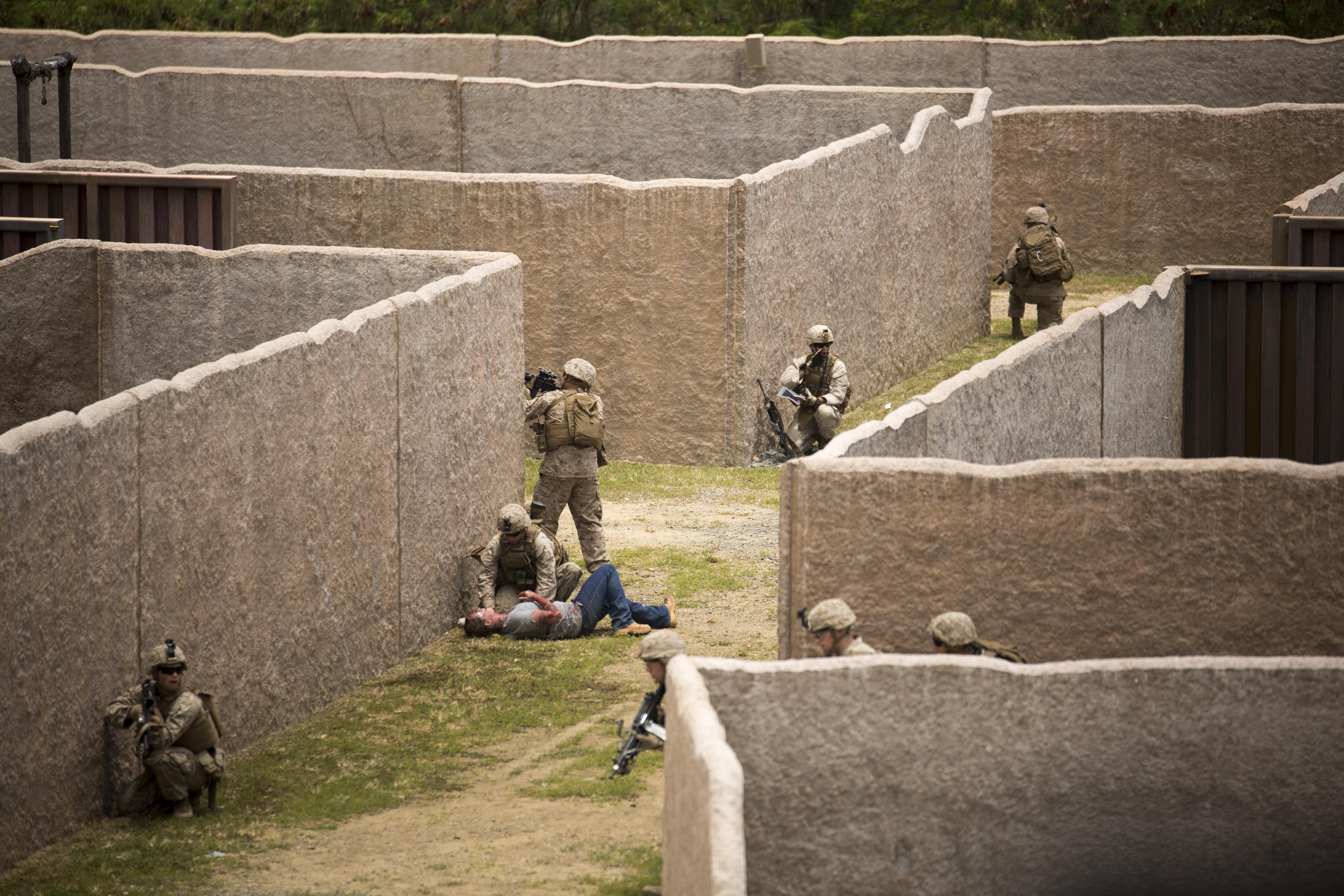 Foreign military officers observe U.S. Marine Corps amphibious landing