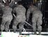 Members of the 39th Aerial Port Squadron physically push the MAFFS unit on to a C-130. It takes about two hours to load and configure the unit onto a C-130 aircraft. (U.S. Air Force photo/Master Sgt. Daniel Butterfield)