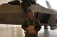 Maj. Chad Newkirk, a Reserve F-22 pilot assigned to the 477th Fighter Group, is the eleventh pilot in Air Force history and fourth pilot in the 477th FG to reach 1,000 flight hours in the F-22 during a sortie here in April. (U.S. Air Force photo/Tech. Sgt. Dana Rosso)
