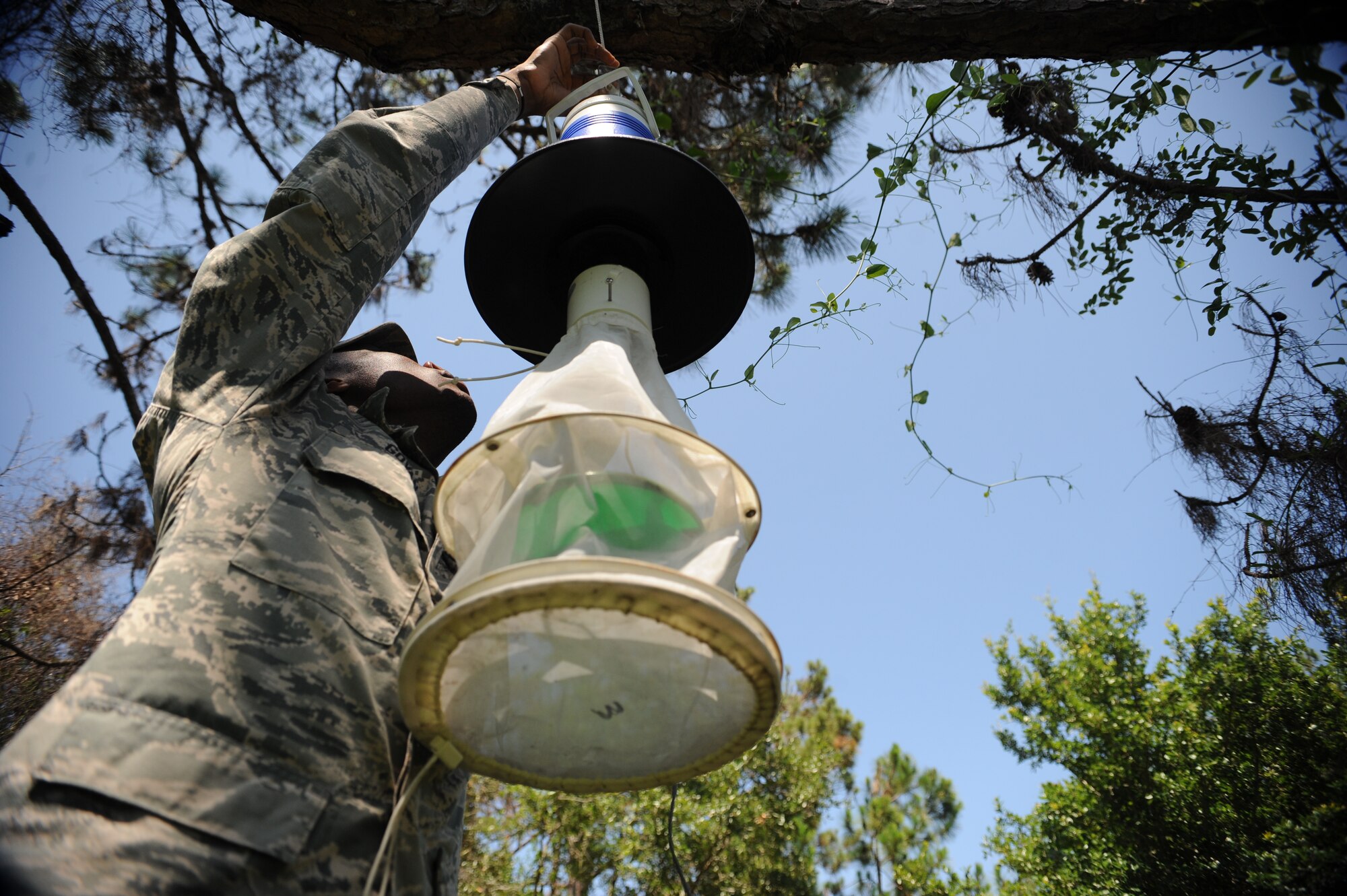 Airman 1st Class Alexander Govan Jr., 6th Aerospace Medicine Squadron public health technician, sets up a mosquito trap at MacDill Air Force Base, Fla., May 20, 2015. After 24- hours, Govan collects the mosquitoes to be frozen in the lab before separating the females and sending them to Wright-Patterson AFB to be tested for diseases, such as malaria, by the head entomologist. (U.S. Air Force photo by Airman 1st Class Danielle Conde/Released)