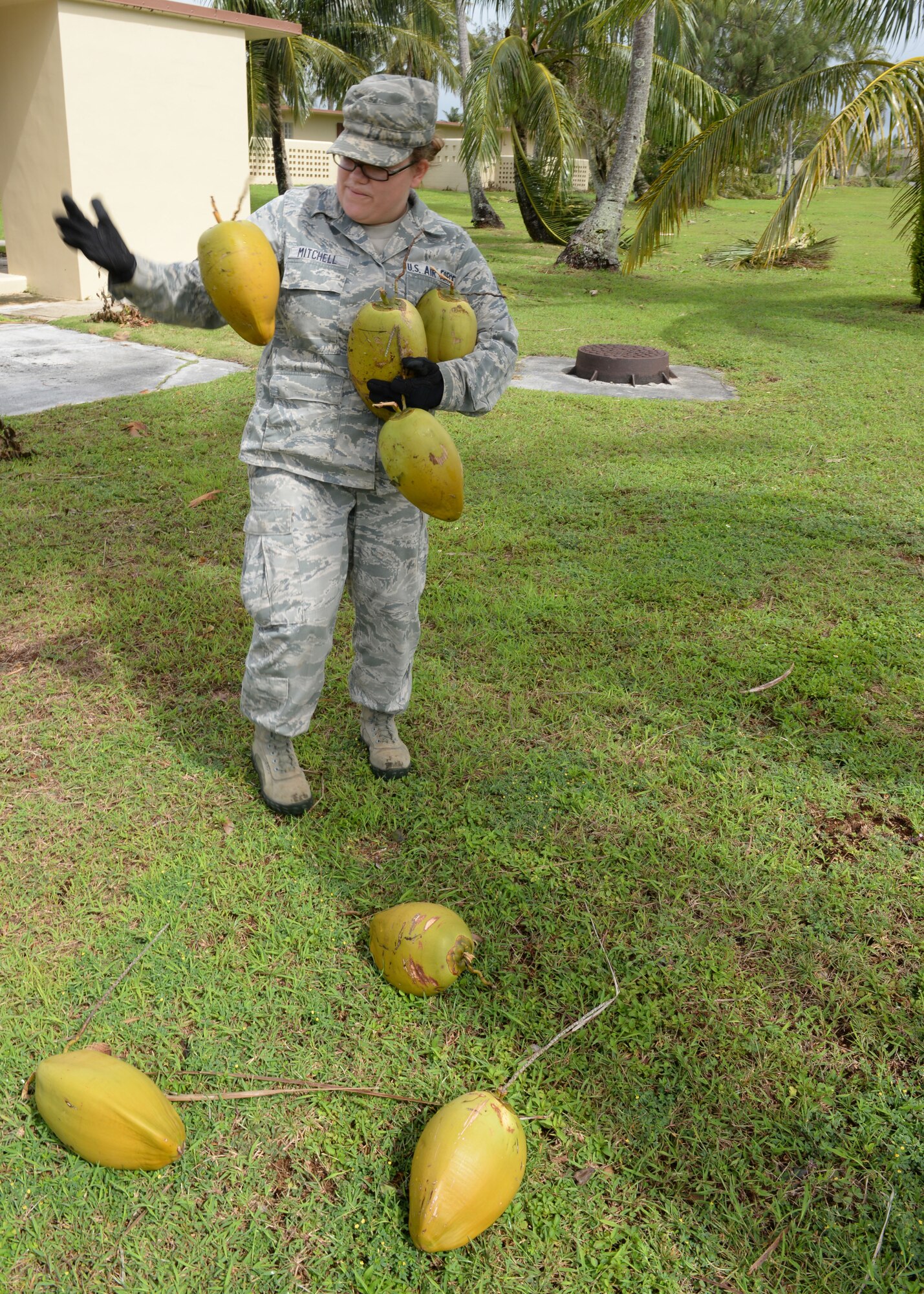 Staff Sgt. Chelsea Mitchell, 644th Combat Communications Squadron cyber systems operator, tosses a coconut into her hand during the week long clean-up efforts May 20, 2015, at Andersen Air Force Base, Guam. Andersen personnel including 36th Wing Airmen, Guam National Guard and Reserves, and Andersen Army and Navy tenant units participated in clean-up efforts to recover from Typhoon Dolphin, which hit the island May 16. (U.S. Air Force photo by Senior Airman Amanda Morris/Released)