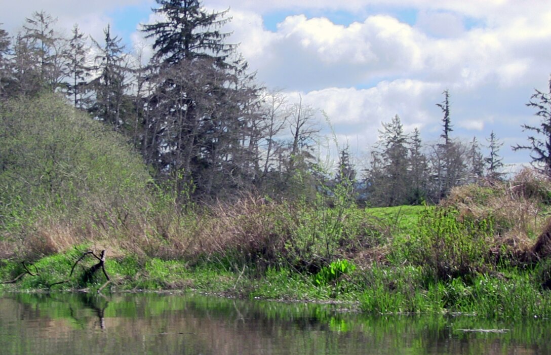 U.S. Army Corps of Engineers regulators say Oregon’s drought conditions could impact some project plans. Anyone planning to do work in waters which may be affected by the drought should first contact the Corps Regulatory representative for their county.