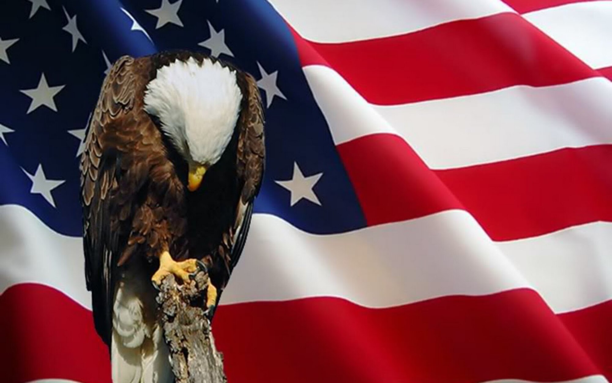 Memorial Day: Honor and Remember