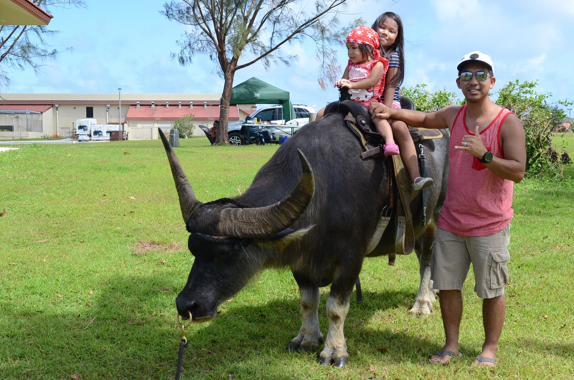 Attendees of the Memorial Day Bash ride a carabao May 25, 2015, at Andersen Air Force Base, Guam. The event included family friendly activities, such as zip lining, multiple bounce houses, food, a barbeque cook-off and a kids’ race track to entertain Team Andersen during the holiday commemoration.  (U.S. Air Force photo by Airman 1st Class Alexa Ann Henderson/Released)