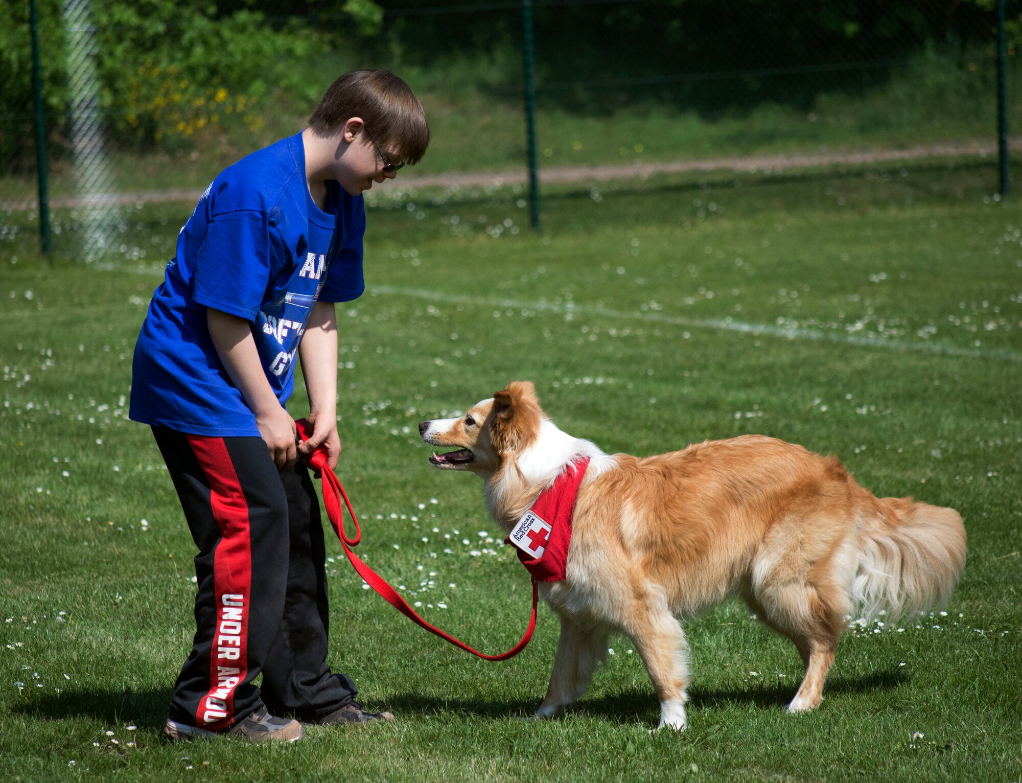 James Lucas plays with a Red Cross volunteer dog at the Ramstein High School softball field during the 2nd Annual Adaptive Softball Game on Ramstein Air Base, Germany, May 14, 2015. The event provides an opportunity for special needs children to participate in a healthy activity while receiving recognition for their efforts. (U.S. Air Force photo/Staff Sgt. Brandy Grace)