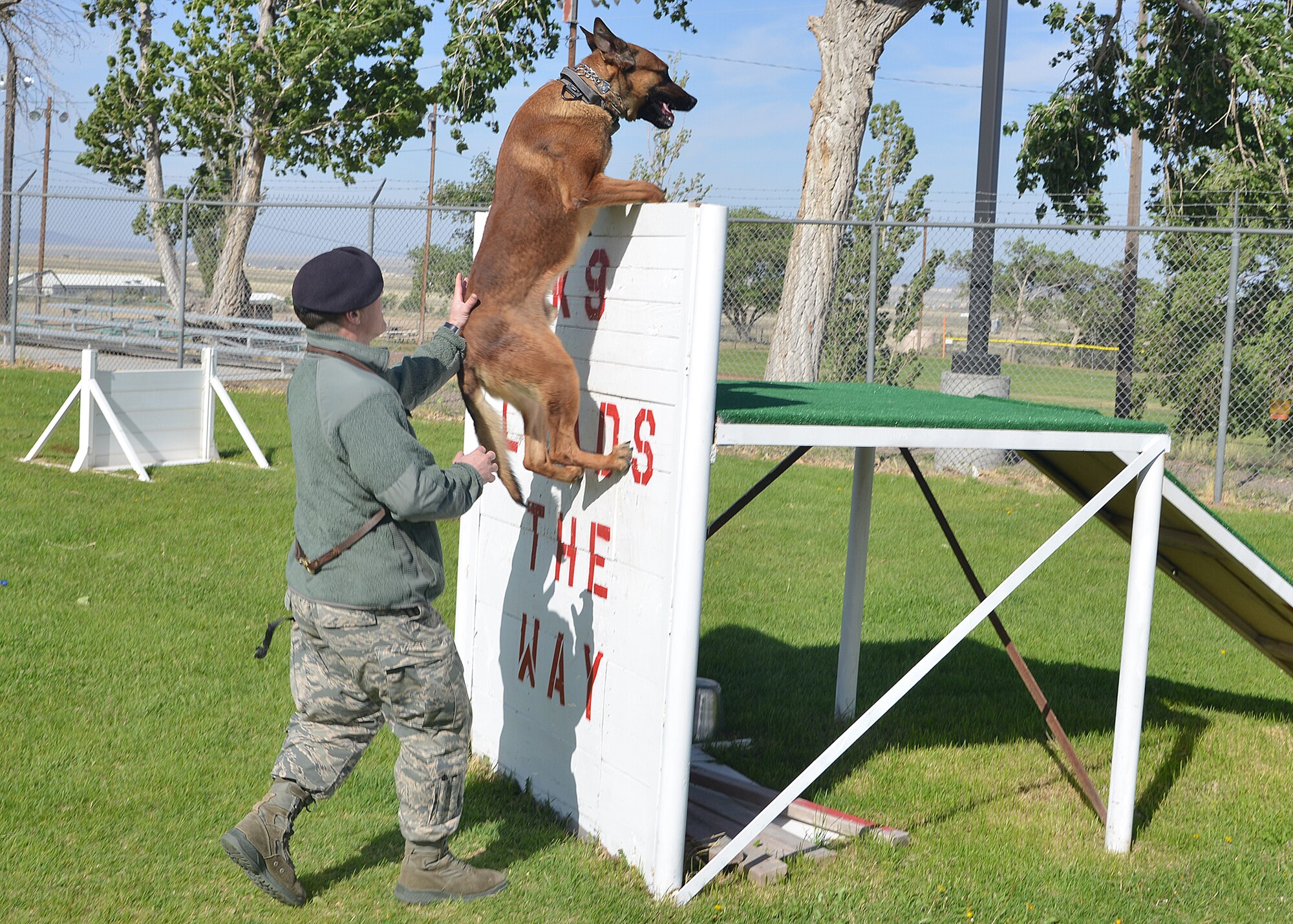 Staff Sgt. Aaron Reason, 377th Security Forces Group, coaches Mex, a military working dog, up a wall during an event at the  annual K9 event held at Kirtland kennel compound May 12.  (Photo by Todd Berenger)
