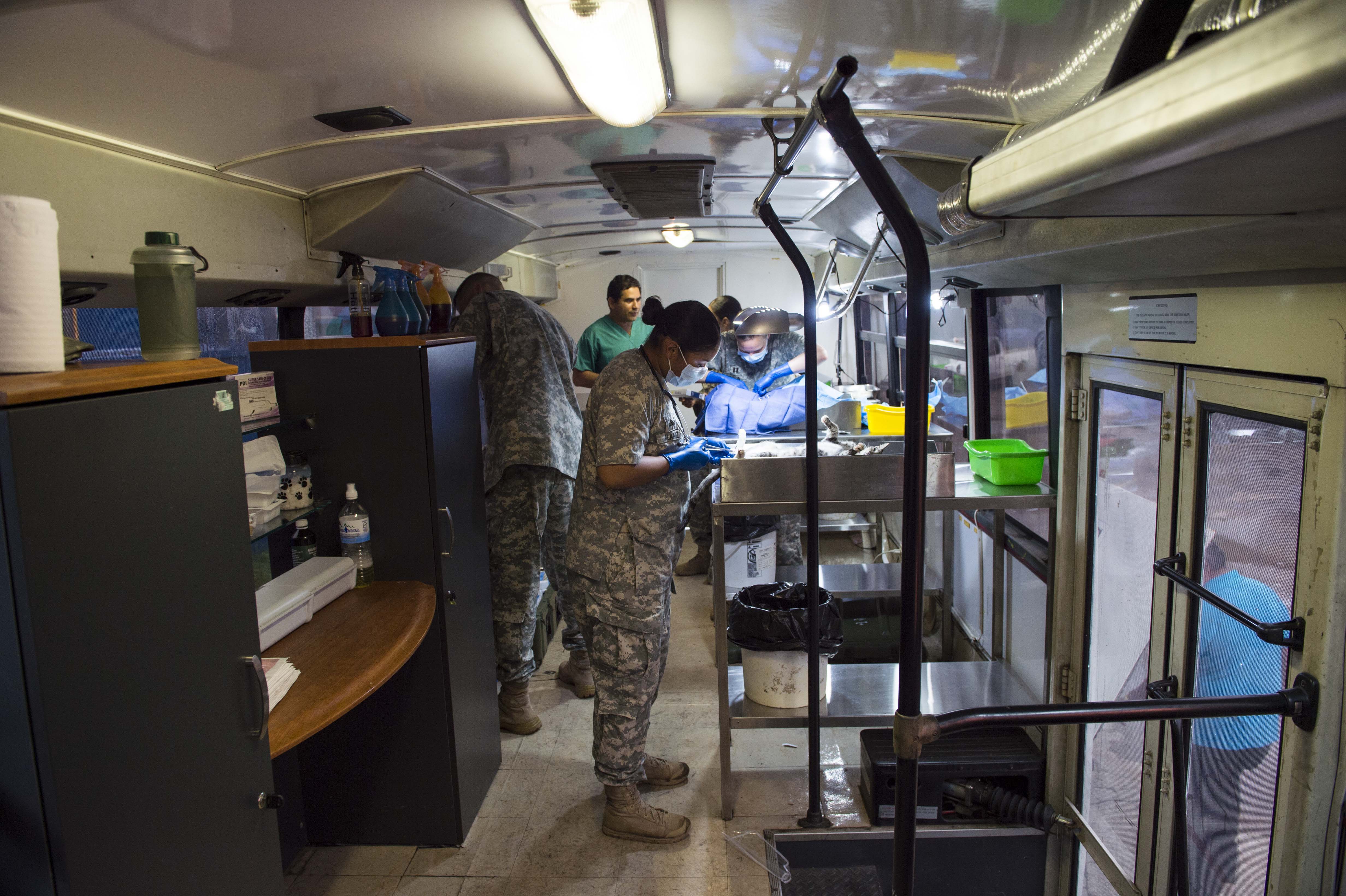 Continuing Promise, Host Nation Veterinarians, Provide Animal Care in Panama > United States