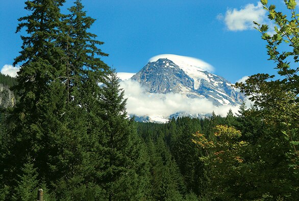 Thirty-five members of the 908th Logistics Readiness Squadron recently performed their two-week annual tour, hosted by the 627th LRS, at Joint Base Lewis-McChord, Wash. (U.S. Air Force photo/ Courtsey)