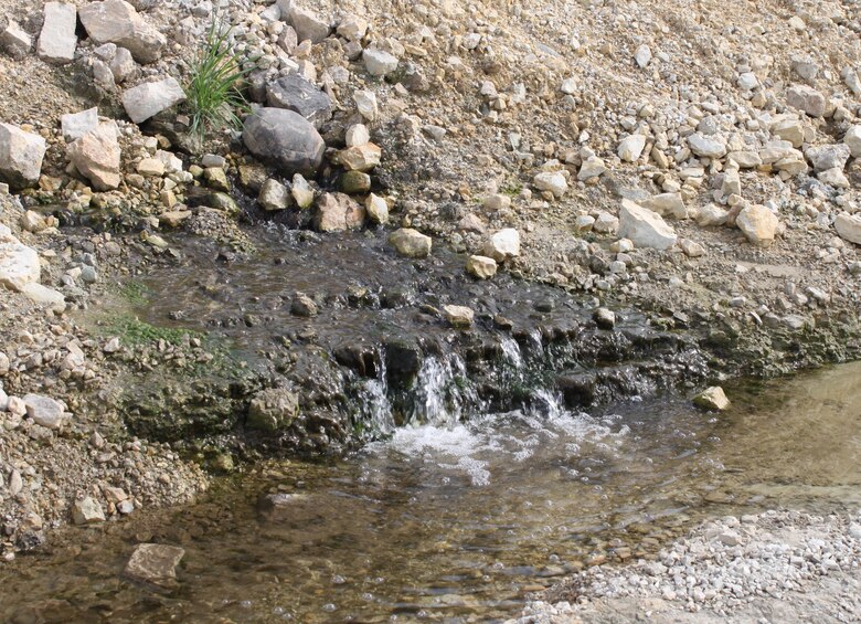 Water seeping through the embankment of the forebay wall at Lockport Lock and Dam was just one of many concerns leading to the facility receiving a Dam Safety Classification rating of two during a major inspection in 2005.