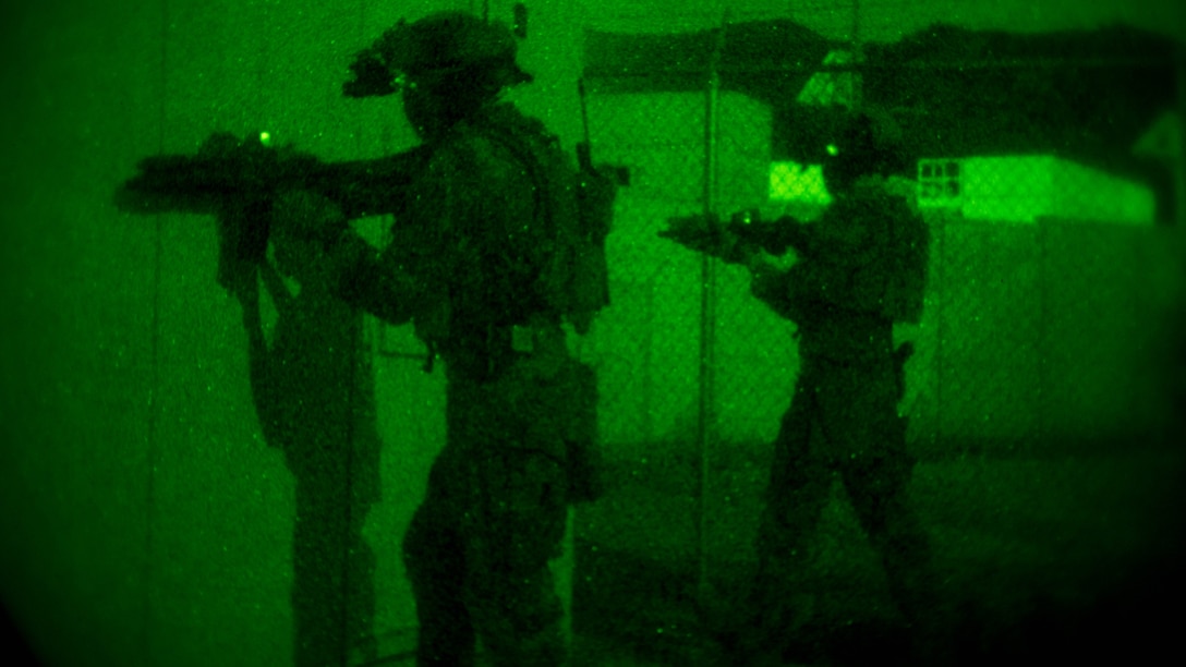 Marines with Company C, 1st Marine Raider Battalion, U.S. Marine Corps Forces, Special Operations Command provide security during a night raid aboard Marine Corps Base Camp Pendleton, Calif., Oct. 8, 2015. Marine Special Operations Company C spent the first phase of their three-phase Company Collective Exercise practicing Foreign Internal Defense aboard Marine Corps Base Camp Pendleton, Calif., Oct. 5-8.