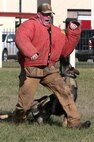 Tech. Sgt. James Malloy,  341st Training Squadron lead military working dog trainer, and MWD, Aruba, provide a demonstartion during the 2015 Joint Base San Antonio Air Show and Open House Oct. 31, 2015 at JBSA-Randolph, Texas. Air shows allow the Air Force to display the capabilities of our aircraft to the American taxpayer through aerial demonstrations and static displays and allowing attendees to get up close and personal to see some of the equipment and aircraft used by the U.S. military today. (U.S. Air Force photo by Johnny Saldivar) 
