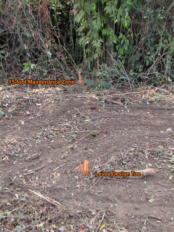 During phase-1 of maintenance on the Corps-managed portion of the Mill Creek Levee System, contractors will remove overgrown, encroaching vegetation from the surface of the levee slopes and 15-feet outward from the levee’s design toe.