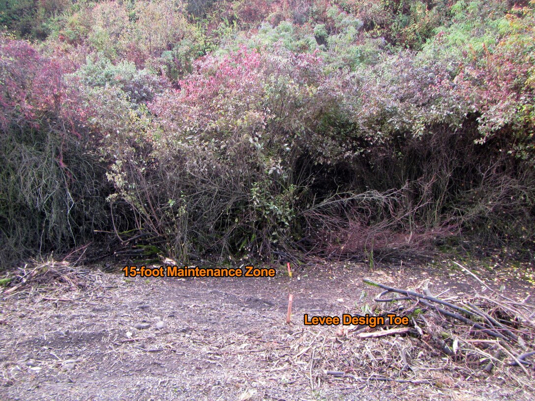 During phase-1 of maintenance on the Corps-managed portion of the Mill Creek Levee System, contractors will remove overgrown, encroaching vegetation from the surface of the levee slopes and 15-feet outward from the levee’s design toe.