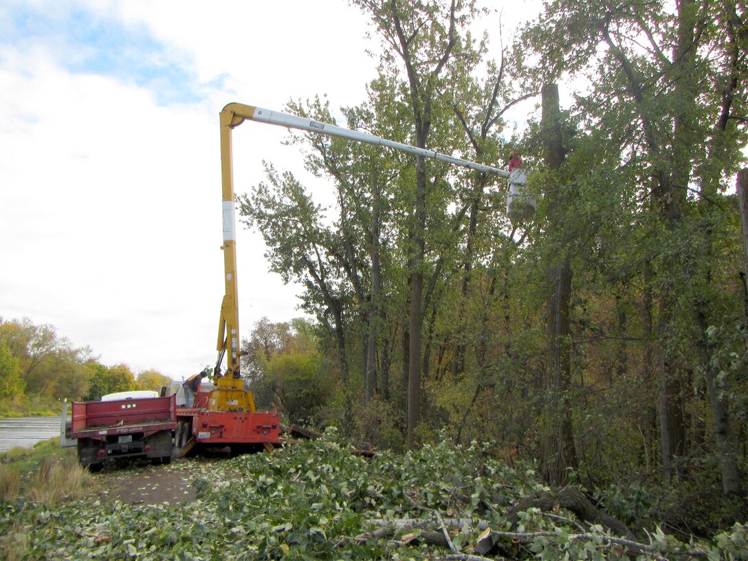 Contractors use a crane to remove overgrown trees from the top downward inside Mill Creek’s levee maintenance zone.
