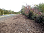 Phase-1 of work to remove overgrown vegetation encroaching onto the Corps-managed portion of the Mill Creek Levee System began Oct. 8. Workers with heavy equipment and vehicles are removing overgrown vegetation which has encroached into the levee’s maintenance zone. Construction fencing and signs will be placed to alert visitors to the closure and encourage public safety.