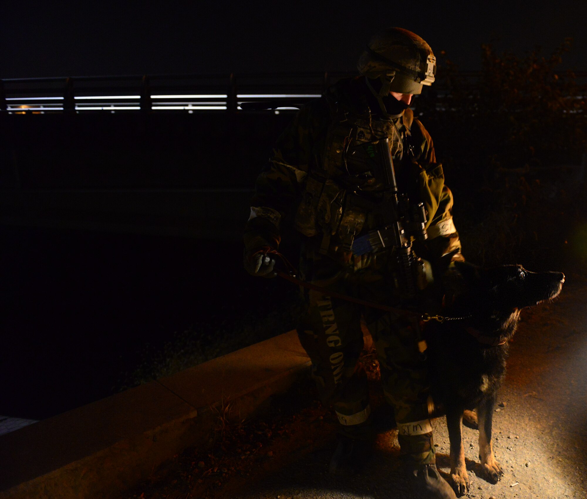 Staff Sgt. Michael Caruso, 51st Security Forces Squadron Military Working Dog handler, and his partner Zody brave the cold nights of exercise Vigilant Ace 16 to man their assigned listening and observation post along the perimeter of Osan Air Base, Republic of Korea, Nov. 4, 2015. Vigilant Ace 16 is a U.S. and ROK combined exercise designed to enhance operational and tactical-level coordination through combined, joint combat training. (U.S. Air Force photo/Staff Sgt. Amber Grimm)