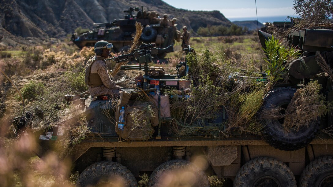 Marines with 4th Light Armored Reconnaissance Battalion, 4th Marine Division, conceal their Light Armored Vehicle during their final exercise in Trident Juncture 2015 in Almería, Spain, Oct. 30, 2015. The simulated exercise taught the Marines each other’s strengths and weaknesses, allowing them to seek improvement as well as build interoperability among the warfighters.