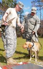 Army Capt. Michael Bellin, veterinarian assigned to Gulf Coast District Veterinary Command, asks Army Spc. Zach Laker, a Tactical Explosive Detection Dog handler and infantryman assigned to Alpha Company, 1-148th Infantry, 37th Infantry Brigade Combat Team, to escort Sassy, his TEDD, to the scales during a check-up at Camp Shelby Joint Forces Training Center, Nov. 7, 2011. The 37th IBCT will be utilizing TEDDs during their upcoming deployment to Afghanistan in support of Operation Enduring Freedom.