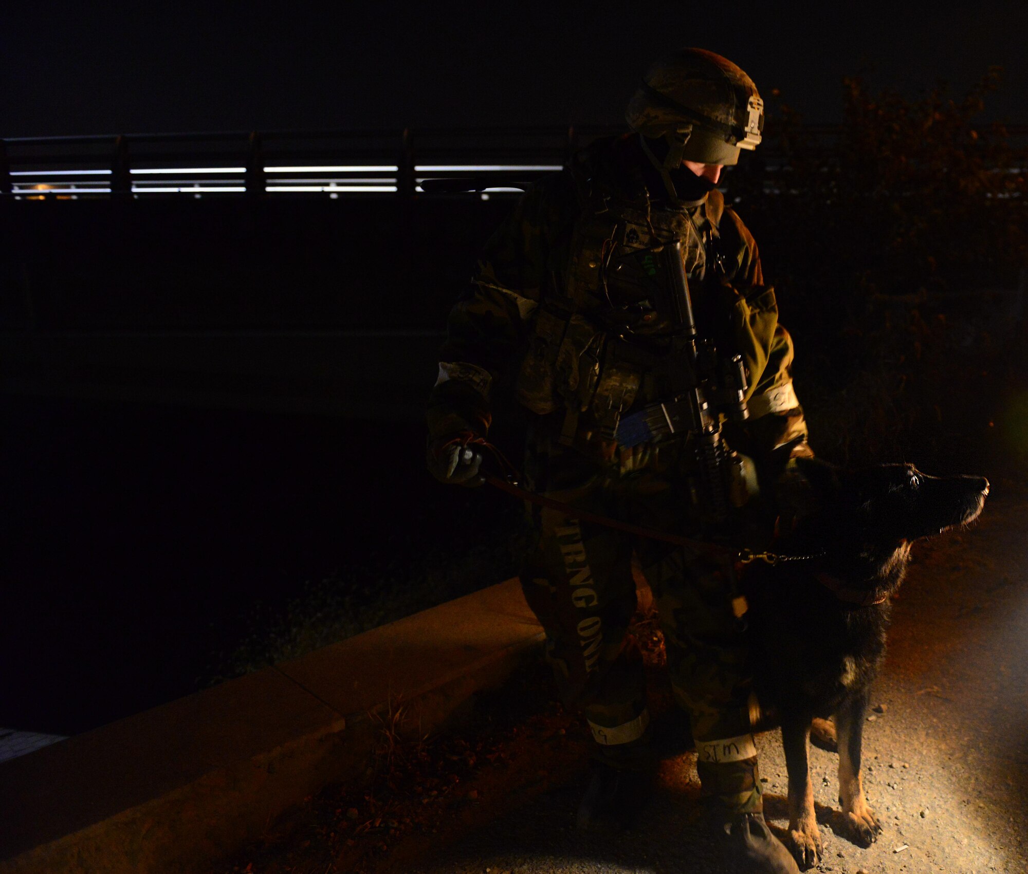 Staff Sgt. Michael Caruso, 51st Security Forces Squadron Military Working Dog handler, and his partner Zody brave the cold nights of exercise Vigilant Ace 16 to man their assigned listening and observation post along the perimeter of Osan Air Base, Republic of Korea, Nov. 4, 2015. Vigilant Ace 16 is a U.S. and ROK combined exercise designed to enhance operational and tactical-level coordination through combined, joint combat training. (U.S. Air Force photo/Staff Sgt. Amber Grimm)