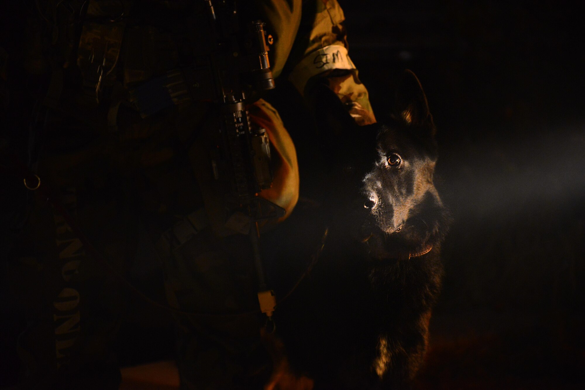 Zody, a Military Working Dog with the 51st Security Forces Squadron, and his handler patrol the night during Vigilant Ace 16 at Osan Air Base, Republic of Korea, Nov. 4, 2015. The peninsula-wide exercise tests the linkage between operational-level planners and tactical units, to include increased ROK air force participation. (U.S. Air Force photo/Staff Sgt. Amber Grimm)