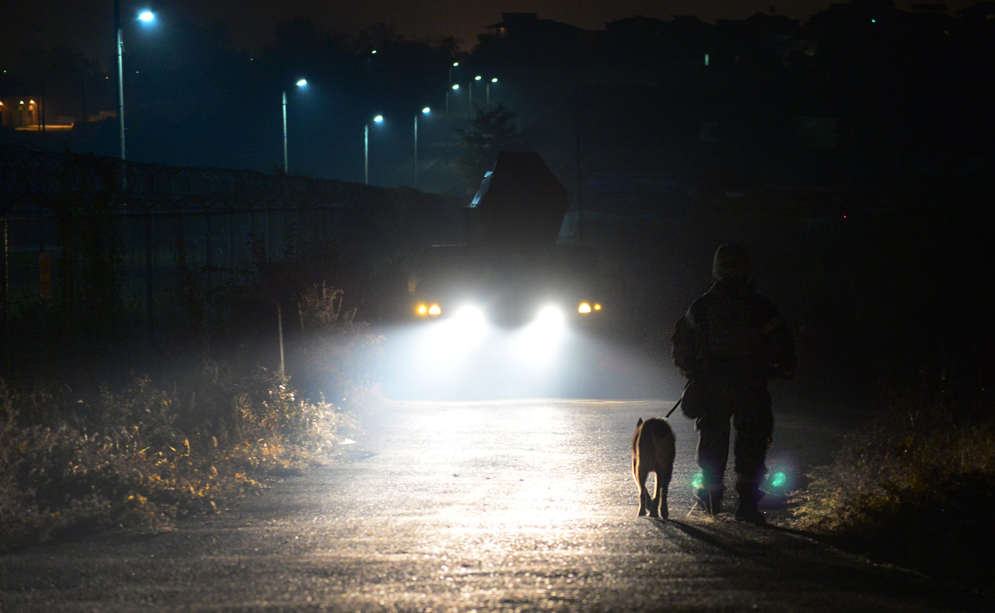 A Military Working Dog and its handler walk the perimeter of Osan Air Base, Republic of Korea, Nov. 4, 2015, in support of exercise Vigilant Ace 16. Military Working Dogs, with their acute senses, are used to man listening and observation posts in search of infiltration attempts at remote locations around the base. Roughly 16,000 U.S. personnel will participate in the annual peninsula-wide exercise taking place at eight different air bases across the ROK. (U.S. Air Force photo/Staff Sgt. Amber Grimm)