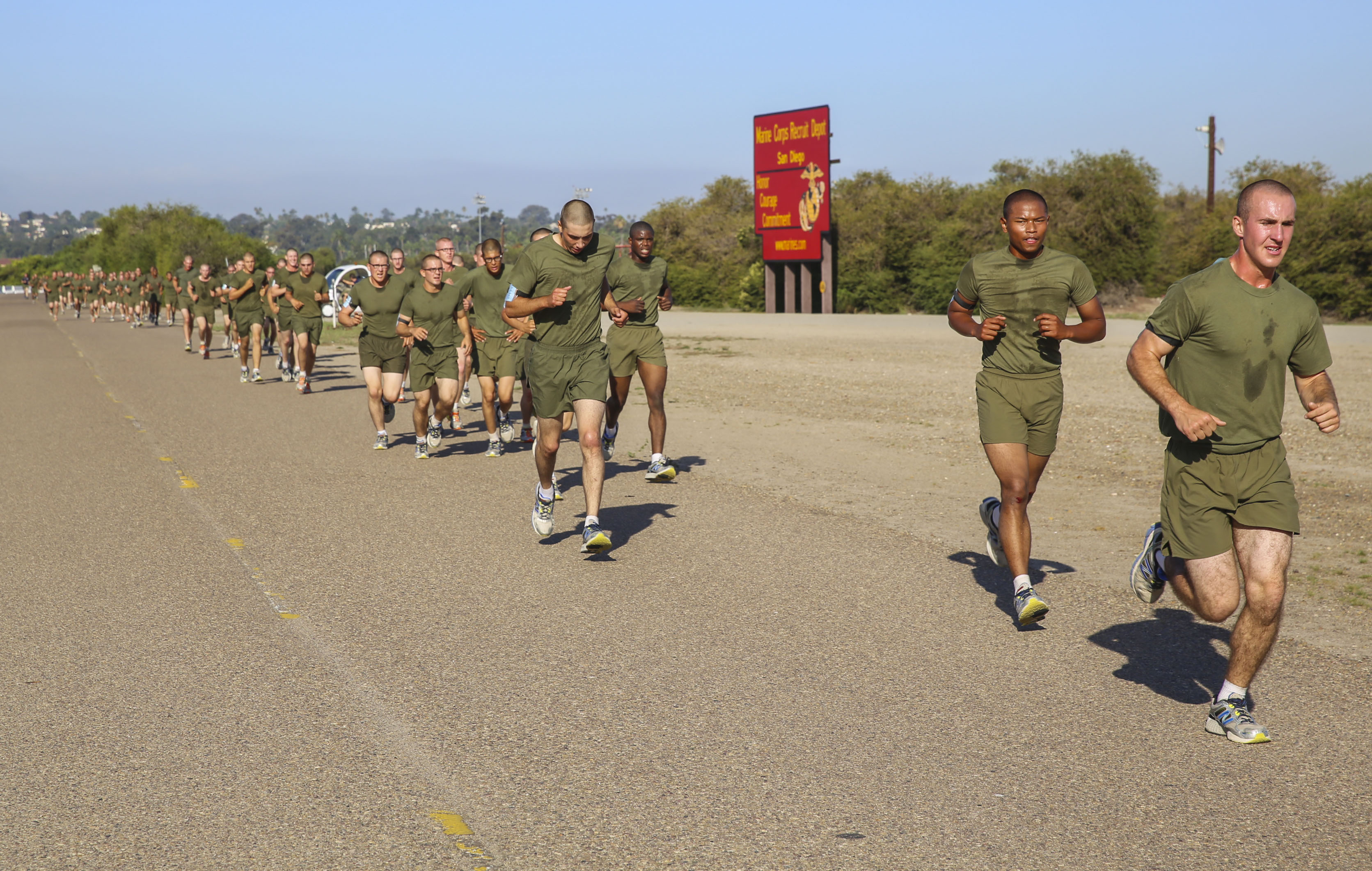 Alnav 2024 Usmc Pft Mavra Sibella