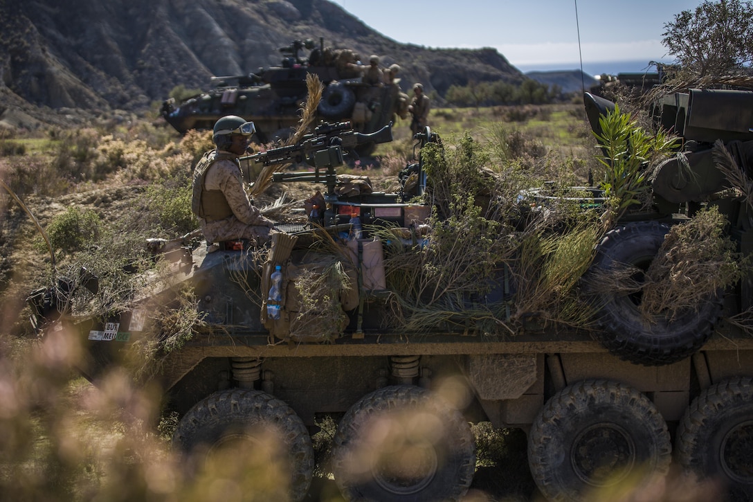 Marines with 4th Light Armored Reconnaissance Battalion, 4th Marine Division, conceal their Light Armored Vehicle during their final exercise in Trident Juncture 2015 in Almería, Spain, Oct. 30, 2015. The simulated exercise taught the Marines each other’s strengths and weaknesses, allowing them to seek improvement as well as build interoperability among the warfighters. 