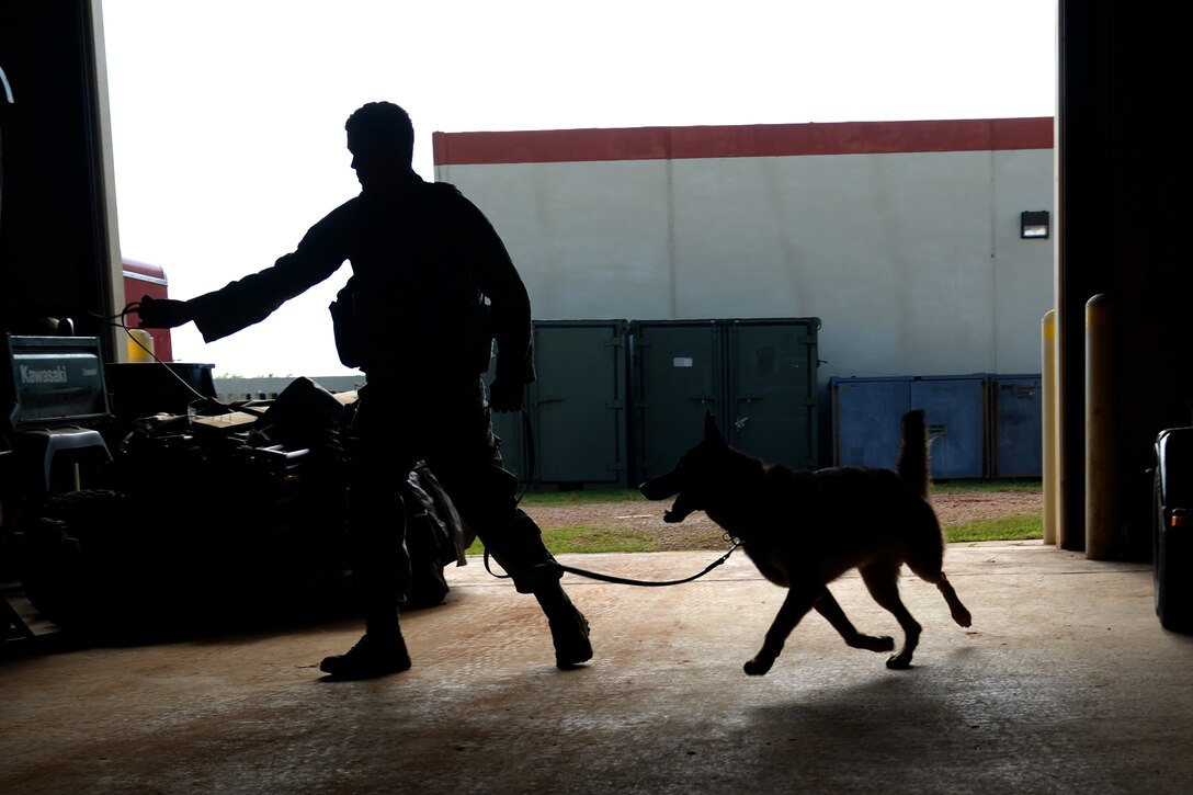 Staff Sgt. Eric Serviss, 36th Security Forces Squadron dog handler, and his military working dog Johny search a warehouse for illicit substance training aids Oct. 27, 2015, at Andersen Air Force Base, Guam. Andersen has one of the largest kennels out of the entire Air Force. (U.S. Air Force photo by Airman 1st Class Alexa Ann Henderson/Released)