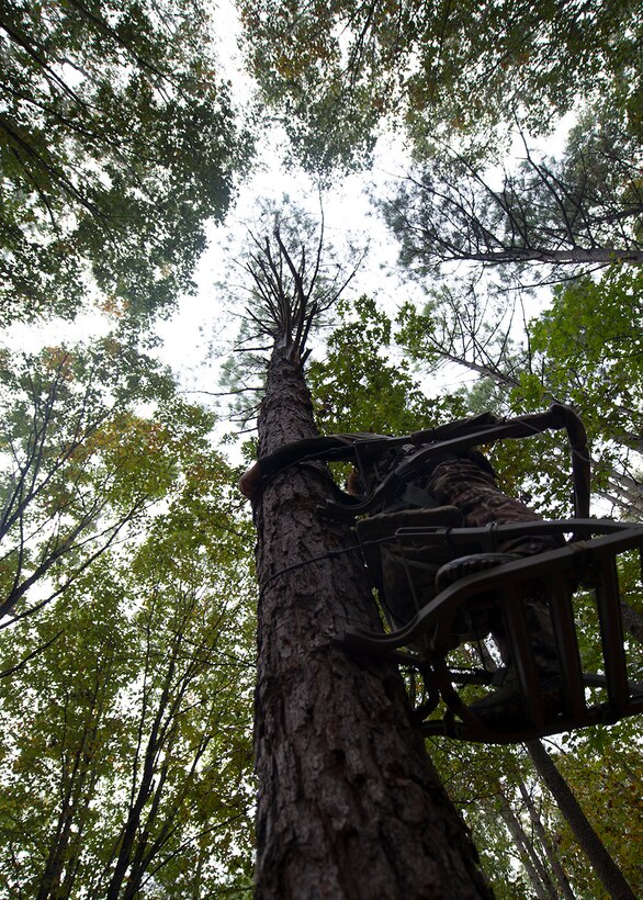 Jeremy Liehr, husband of U.S. Army Sergeant First Class Sharon Liehr, climbs a tree at the hunting grounds on Fort Eustis, Va., October 28, 2015. Liehr is donating all of his harvest to a charity supporting hungry families in the local area. (U.S. Air Force photo by Staff Sgt. John D. Strong II)
