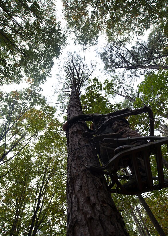 Jeremy Liehr, husband of U.S. Army Sergeant First Class Sharon Liehr, climbs a tree at the hunting grounds on Fort Eustis, Va., October 28, 2015. Liehr is donating all of his harvest to a charity supporting hungry families in the local area. (U.S. Air Force photo by Staff Sgt. John D. Strong II)