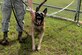 Military working dog Ramos shows his teeth during patrol training Oct. 28, 2015, at Andersen Air Force Base, Guam. Ramos is a patrol and detection dog, meaning he trains in both daily to keep his skills up to date. (U.S. Air Force photo/Airman 1st Class Alexa Ann Henderson)