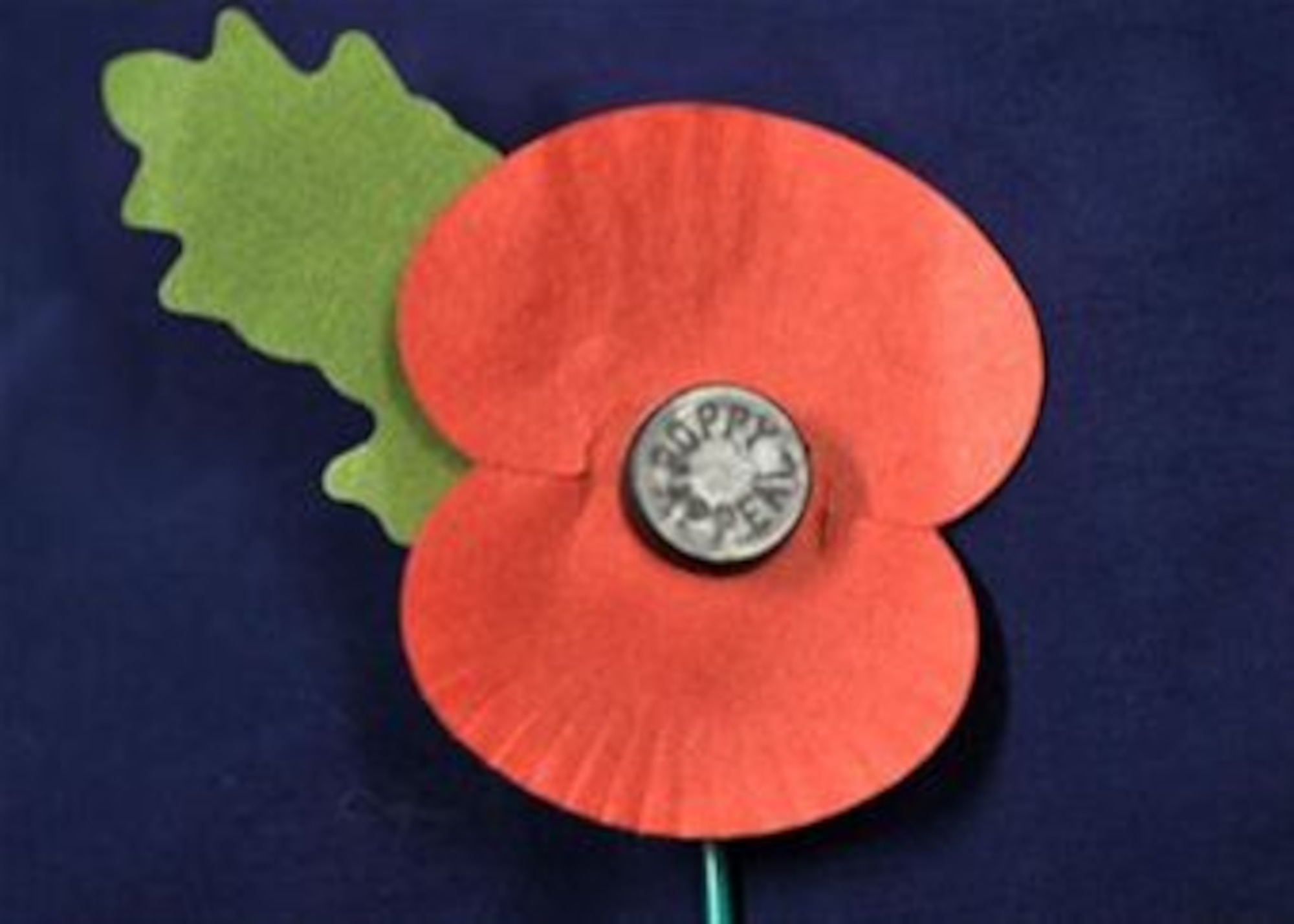 The wearing of poppies is a proud tradition in the U.K.. Today the artificial poppies are made at the Poppy Factory in Surrey, England and Remembrance Sunday is the culmination of a year's effort to make 38 million Remembrance poppies, 5 million Remembrance petals, 900,000 crosses and 100,000 wreaths. A team of 50 people , most of them disabled and ex-servicemen and women, work all year round. They also make wreaths laid by Her Majesty the Queen and other members of the Royal Family. (US Air Force photo by Staff Sergeant Eboni Reams)
