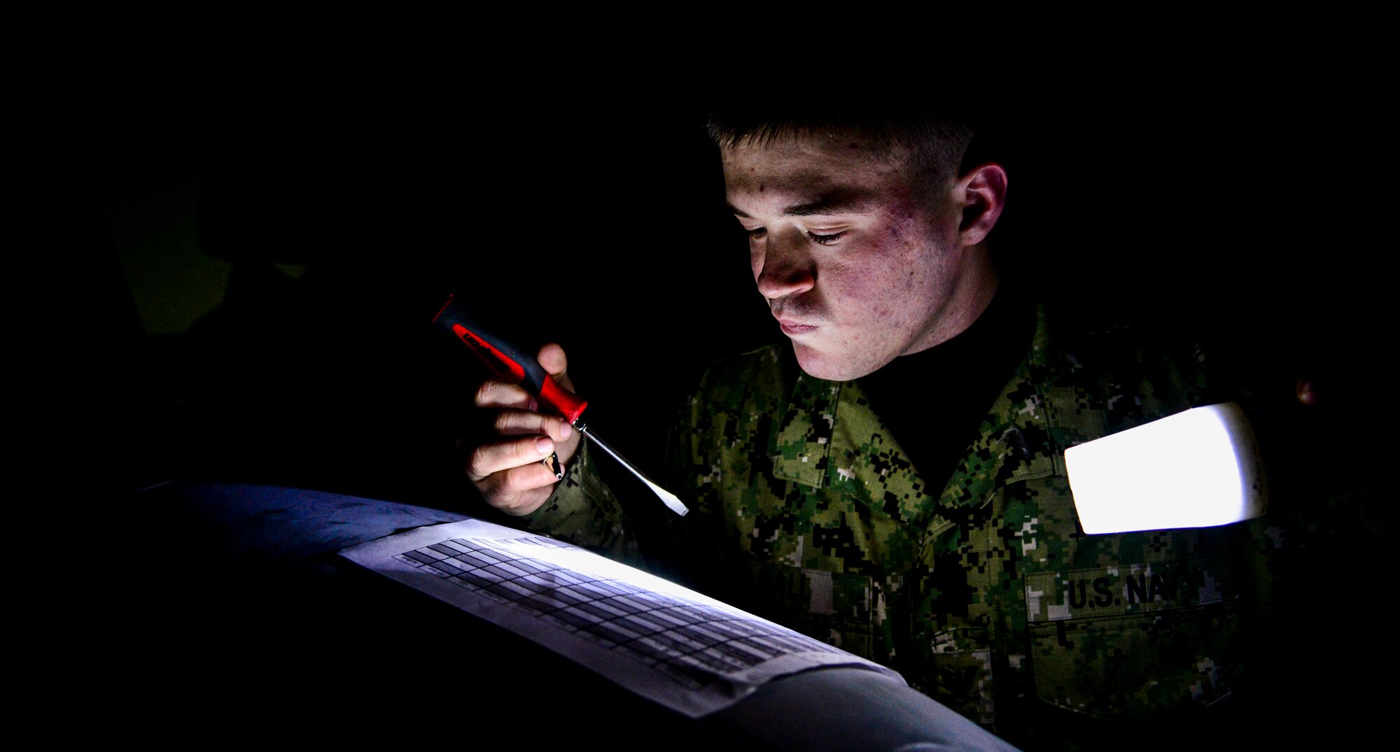 Navy Aviation Electronics Technician 3rd Class Berris Ball, with Electronic Attack Squadron (VAQ) 132 from Naval Air Station Whidbey Island, Wash., validates avionic component part numbers on the EA-18G Growler during exercise Vigilant Ace 16 at Osan Air Base, Republic of Korea, Nov. 4, 2015. The EA-18G's vast array of sensors and weapons provides the warfighter with a lethal and survivable weapon system to counter current and emerging threats. More than 16,000 U.S. personnel will participate in Vigilant Ace 16, a large-scale exercise that helps prepare the alliance to respond to any potential contingencies and to defend the Republic of Korea. (U.S. Air Force photo/Tech. Sgt. Travis Edwards)