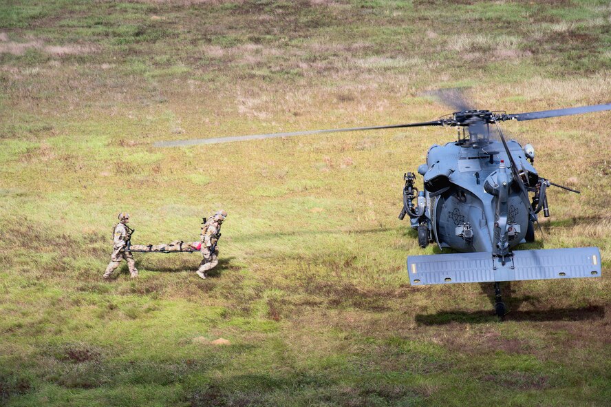 Pararescuemen from the 38th Rescue Squadron load a dummy into an HH-60G Pave Hawk from the 41st Rescue Squadron during the Thunder Over South Georgia Open House Nov. 7, 2015, at Moody Air Force Base, Ga. In addition to aerial performances, the event also included static displays of various aircraft. (U.S. Air Force photo by Senior Airman Ryan Callaghan/Released)



