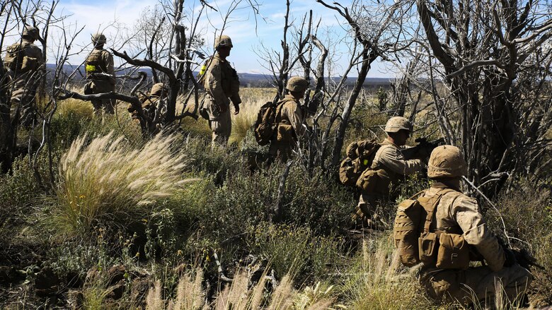 Marines with Kilo Company, 3rd Battalion, 3rd Marine Regiment, take cover in behind trees while patrolling during training exercise Lava Viper, a staple of their pre-deployment training, at Range 10 at Pohakuloa Training Area, Hawaii, Nov. 4, 2015. The purpose of the training was to provide Marines within the company with an opportunity to utilize various tactics and weapons while organizing within the platoons to accomplish a common mission. Lava Viper provides the Hawaii-based Marines with an opportunity to conduct various movements, live-fire and tactical training before departing for Integrated Training Exercise aboard Marine Air-Ground Combat Center Twentynine Palms, Calif., where the battalion will train and be evaluated as a whole.