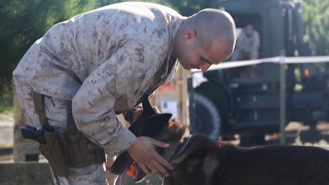 U.S. Marine Cpl. Josue E. Robles a military working dog handler with the 26th Marine Expeditionary Unit pets a combat tracking dog with the MEU on Oct. 26, 2015 at Dorganbey, Turkey while conducting a military working dog demonstration for Turkish Marines and Sailors during Exercise Egemen 2015 Oct. 26. The exercise is a Turkish-led and hosted amphibious exercise designed to increase tactical proficiencies and interoperability among participants.