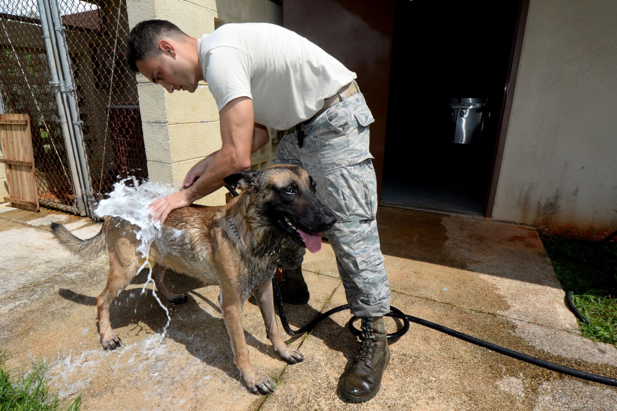 Senior Airman Casey Wheatley, 36th Security Forces Squadron dog handler, bathes his military working dog Ramos after a grueling day of training Oct. 28, 2015, at Andersen Air Force Base, Guam. On top of training, handlers must also take care of their dogs in other aspects including bathing and veterinary appointments. (U.S. Air Force photo by Airman 1st Class Alexa Ann Henderson/Released) 