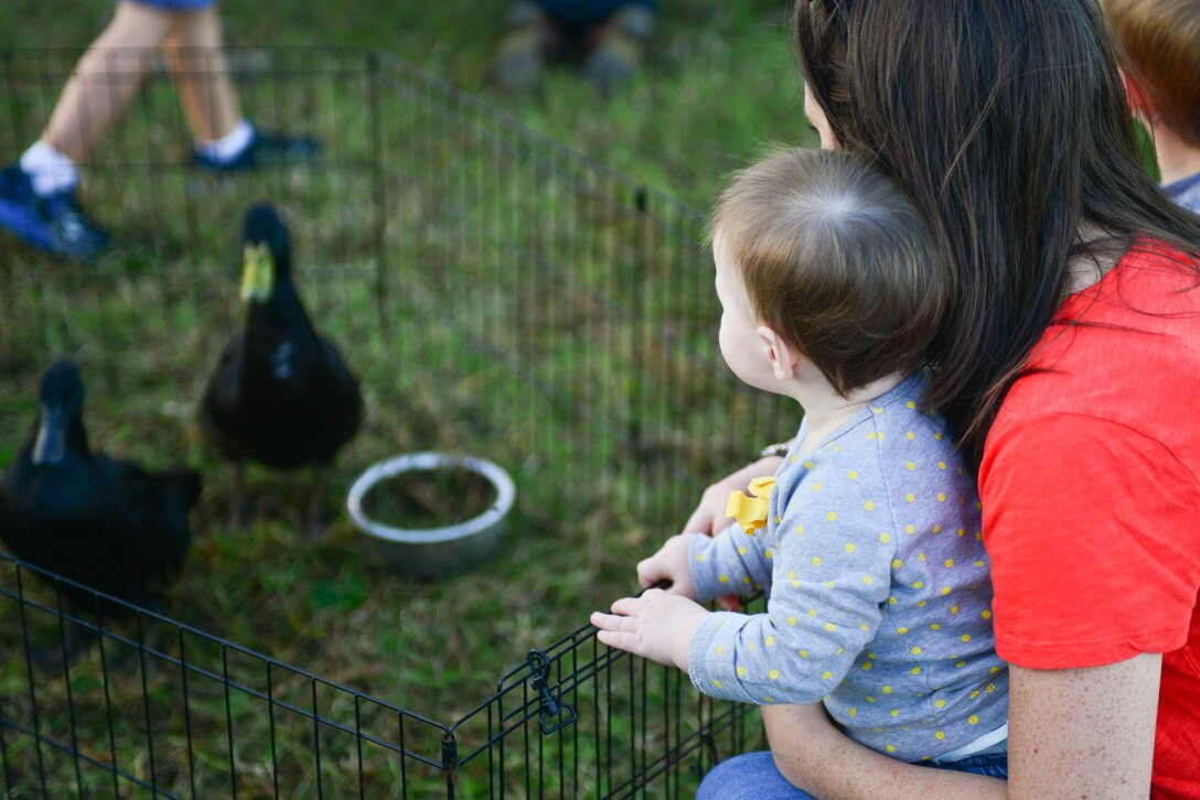 Family members of the 1st and 192nd Fighter Wings play with petting zoo animals during the wings’ homecoming celebration at Langley Air Force Base, Va., Nov. 6, 2015.  The celebration was not only a way to celebrate the service members’ homecoming, but also to show appreciation for their families. (U.S. Air Force photo by Tech. Sgt. Katie Gar Ward/Released)