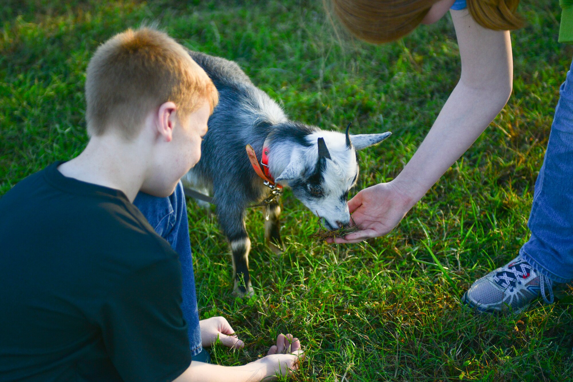 Family members of the 1st and 192nd Fighter Wings play with petting zoo animals during the wings’ homecoming celebration at Langley Air Force Base, Va., Nov. 6, 2015.  In addition to the petting zoo, families could enjoy laser tag, bounce houses, face painting and soccer. (U.S. Air Force photo by Tech. Sgt. Katie Gar Ward/Released)