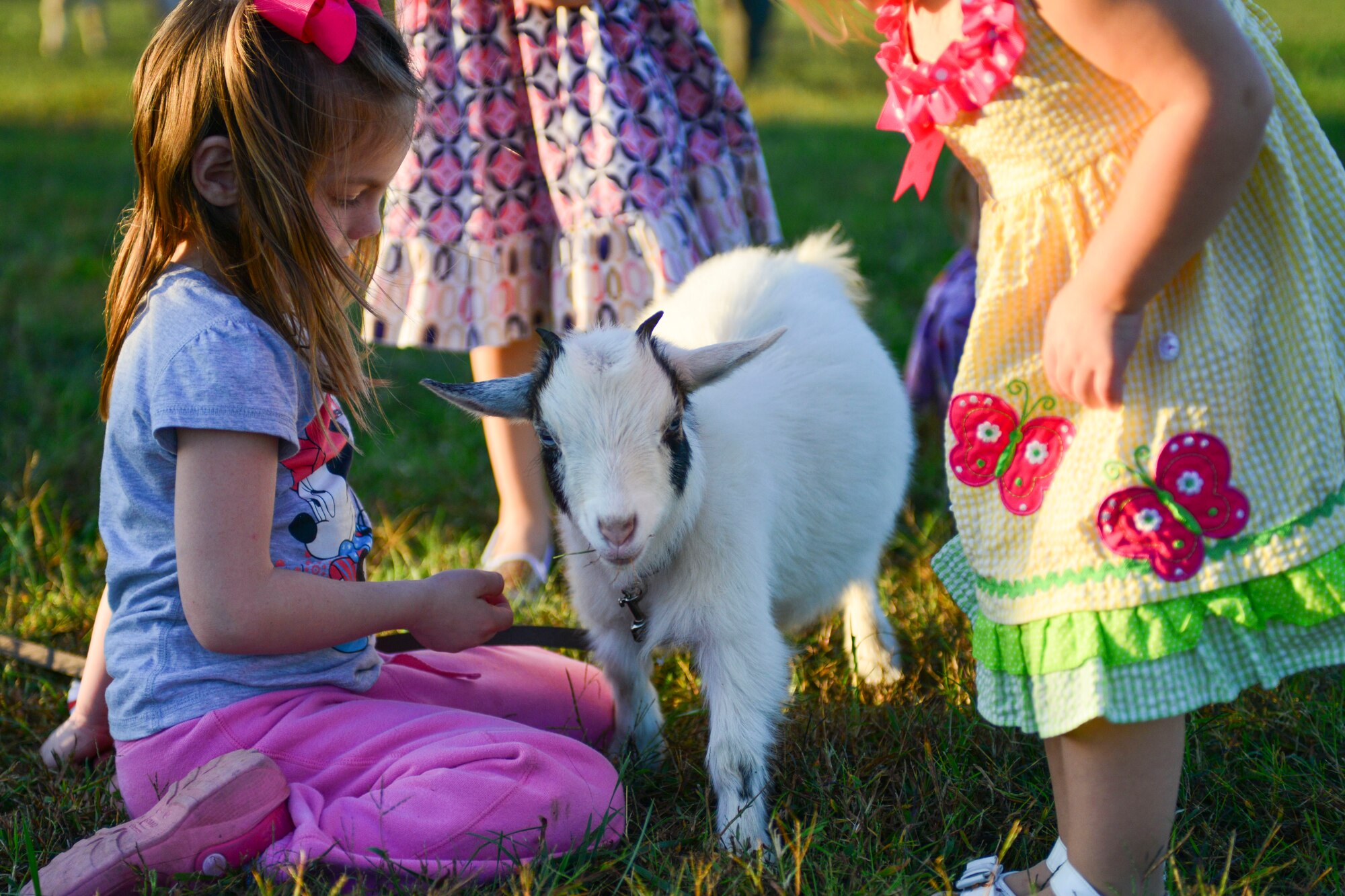 Family members of the 1st and 192nd Fighter Wings play with petting zoo animals during the wings’ homecoming celebration at Langley Air Force Base, Va., Nov. 6, 2015.  In addition to the petting zoo, families could enjoy laser tag, bounce houses, face painting and soccer. (U.S. Air Force photo by Tech. Sgt. Katie Gar Ward/Released)
