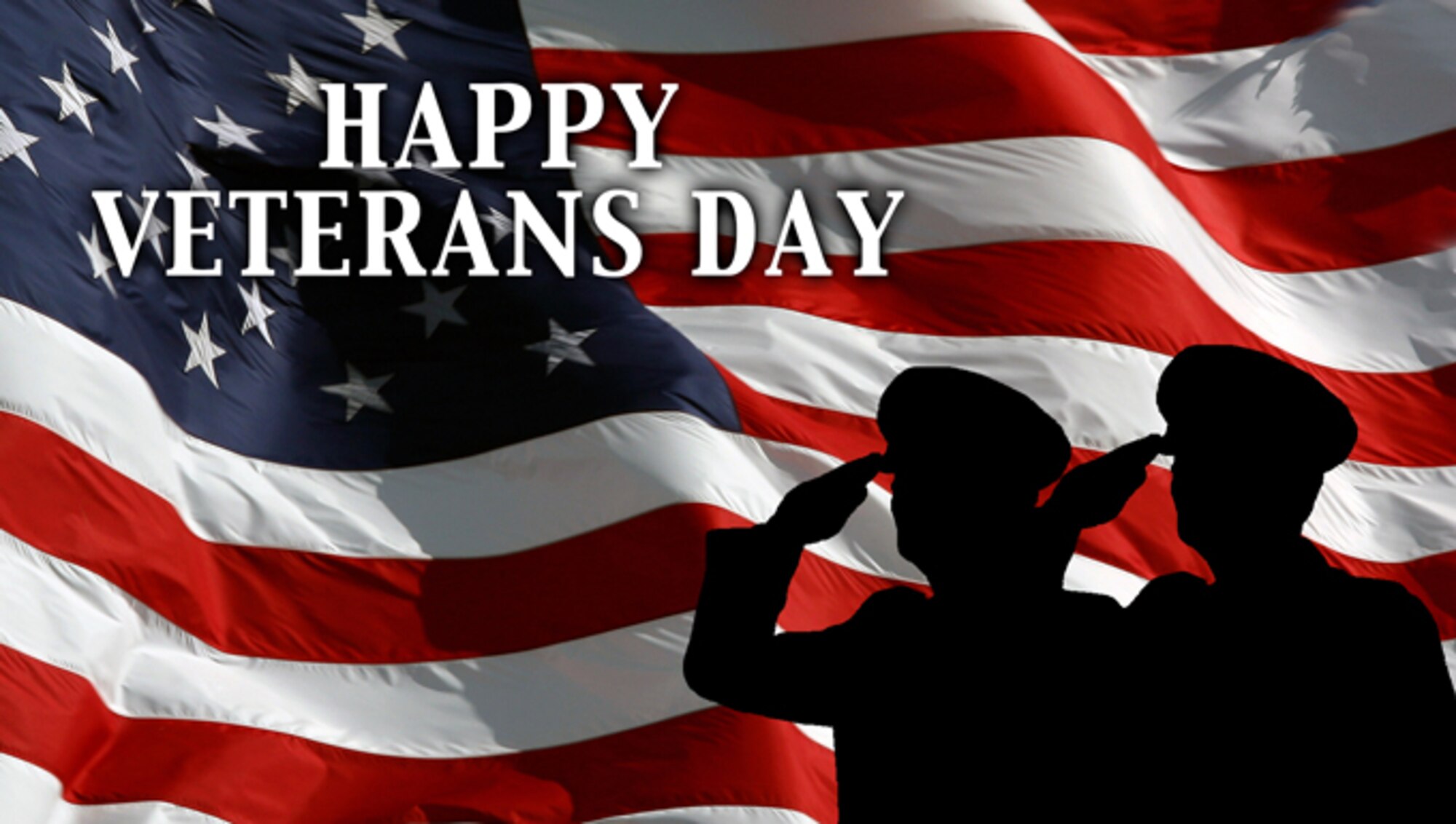 Veterans Day 2015