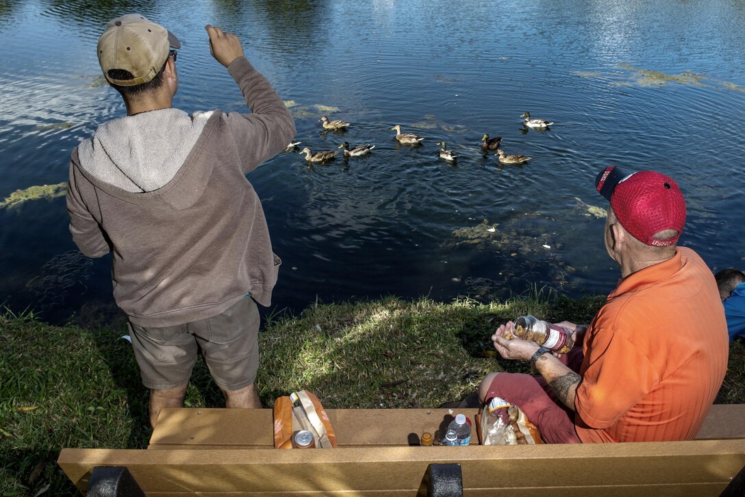 Army veteran Manuel “Al” Alcantara, left, and Marine Corps veteran Jim Alderman feed ducks at the end of a therapy day at the inpatient post-traumatic stress disorder clinic at the Bay Pines Veterans Affairs Medical Center in Bay Pines, Fla., Oct. 29, 2015. DoD photo by EJ Hersom