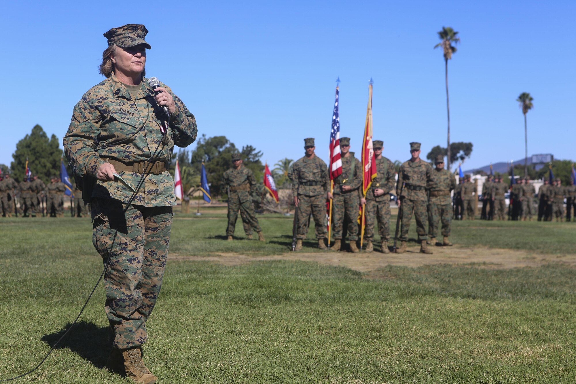 Master Gunnery Sgt. Diane Sharpe gives a speech during her retirement ceremony aboard Marine Corps Air Station Miramar, Calif., Nov. 6. Sharpe, retiring after 30 years, was the first female to reach the rank of master gunnery sergeant in her military occupational specialty.
