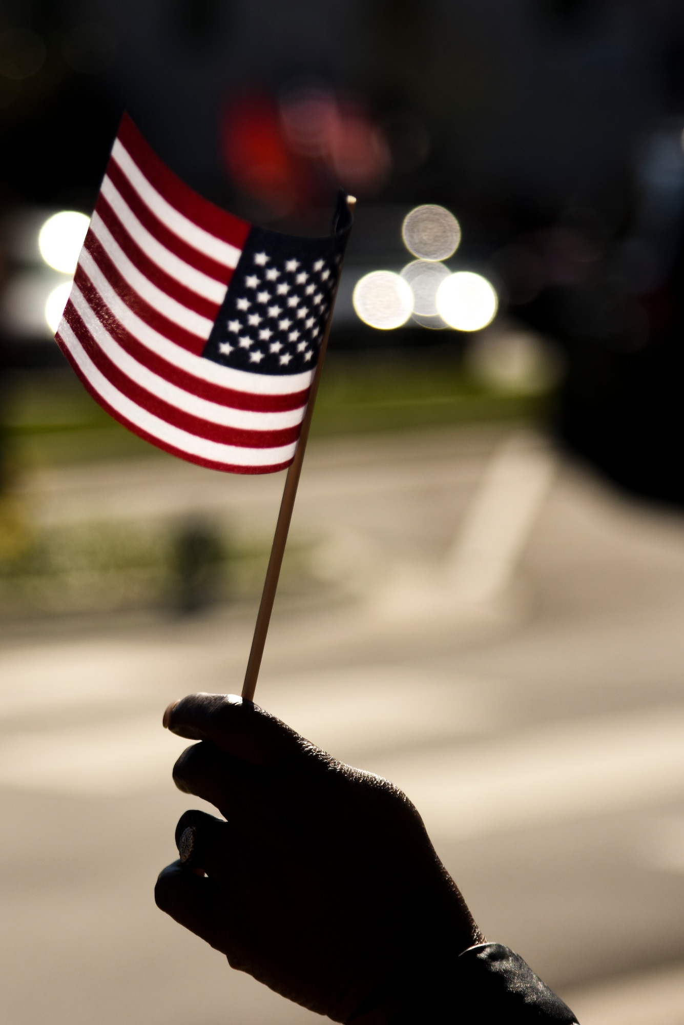 A member of the crowd waves an American flag during the annual Veterans’ Day Parade, Nov. 11, 2015, in downtown Goldsboro, North Carolina. Hundreds of people lined the streets to witness the parade and show support for all service members. (U.S. Air Force photo/Senior Airman Brittain Crolley)